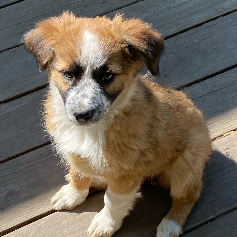 Meet your Posher, Zilah